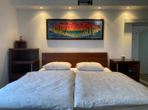 Apartment Tabor